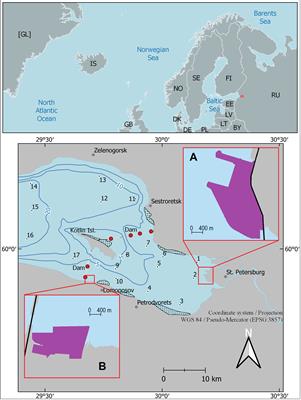 Impact of the Construction of New Port Facilities on Primary Production of Plankton in the Neva Estuary (Baltic Sea)